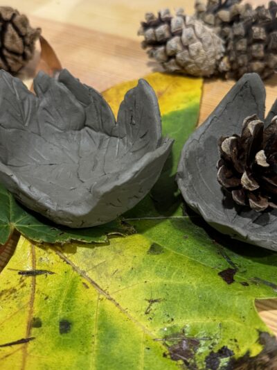 28/10/26 - Seasonal Sip & Shape Pottery Workshop - Westbury-Sub-Mendip